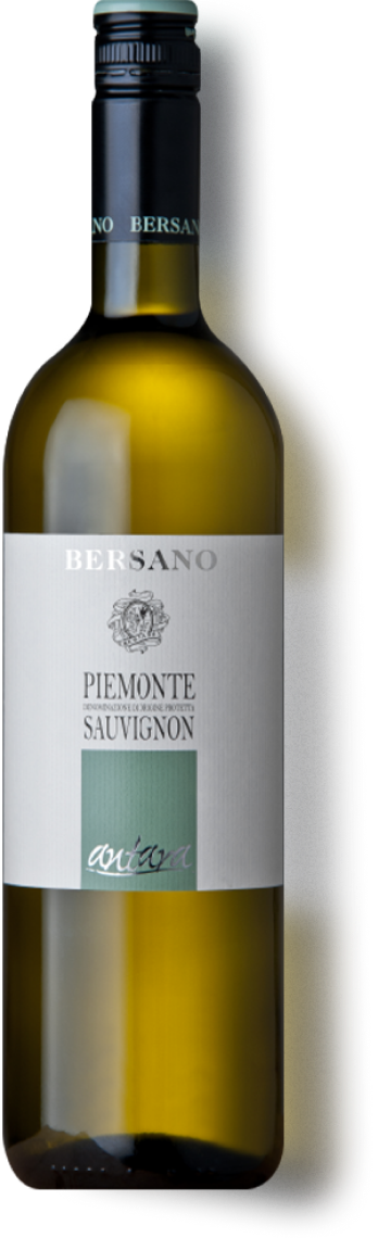 Bersano Antara